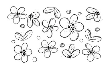Floral outline art pattern, Botanical flower sketch, Hand-drawn garden doodles