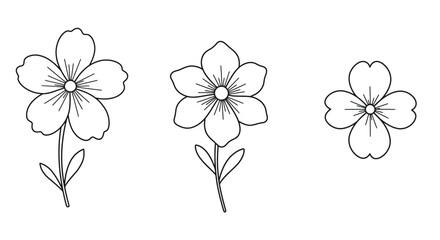 Simple line drawing of three wildflowers with delicate floral details