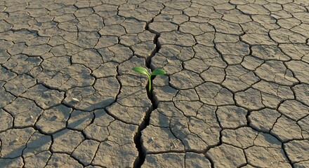 dry cracked earth
