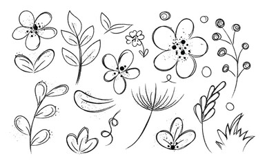 Delicate floral line art, Elegant flower doodle set, Botanical sketch design