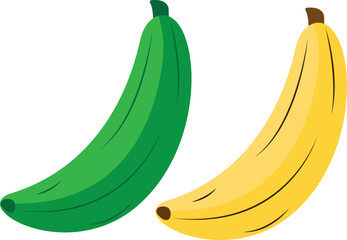 illustration of banana. Fresh banana in peel. sweet tropical food icon.ripe banana, green banana vector illustration.