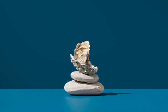 French oyster shell balanced atop stones against a blue background