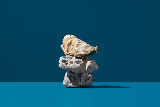 French oyster shell balancing on stacked stones with blue backdrop