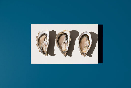 Fresh french oysters on white block with blue background