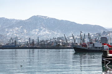 Winter harbor with cargo ships cranes and ducks on calm water with snowy mountains
