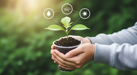 Close up of hands holding a seedling with environmental icons above it