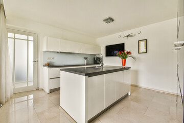 Modern Minimalist Kitchen Interior