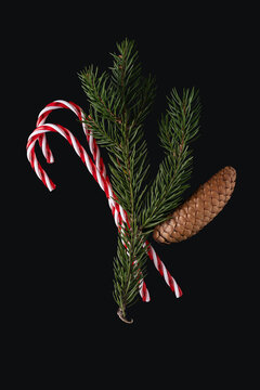 Pine tree branches with candy sticks on black background