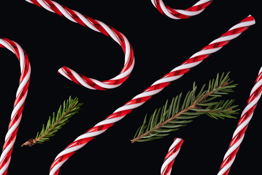 Candy canes and pine branches on a black background