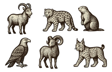 Fototapeta premium Vintage style animal illustrations: goat, leopard, marmot, eagle, ram, lynx.Colorful icons set illustrated