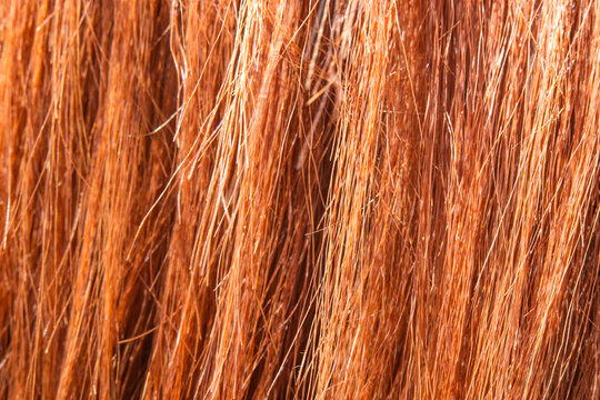 Close-up texture of horsehair in macro art