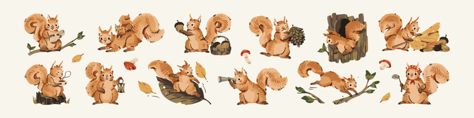 Set of cute squirrels. Mother and baby rodents. Funny forest animals eat nuts, gather pine cones into basket, have fun, run on trees. Flat isolated drawing vector illustrations on white background. © Paper Trident