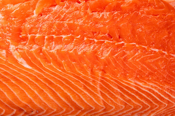 Salmon fillet raw red fish seafood dish natural tasty snack fresh delicious gourmet food background on the table rustic top view copy space pescetarian diet