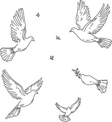 Flying Dove Silhouette Vector Set Featuring Olive Branch and Peaceful Wing Positions with Insects in Elegant Line Art Style