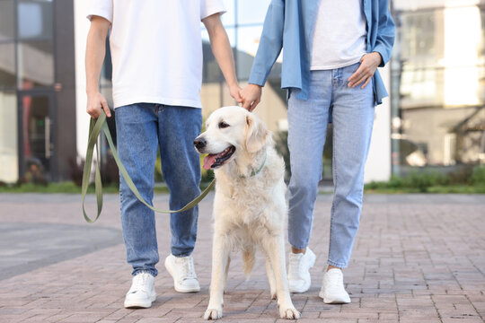 Couple with their adorable golden retriever dog in on city street, closeup
