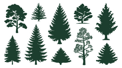 Obraz premium Collection of diverse evergreen tree silhouettes in dark green