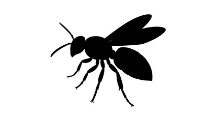 A silhouetted image of an insect on a white background, displaying its body, wings, legs, and antennae. It's a crisp, graphical representation