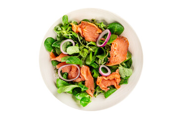 Salmon salad appetizer seafood fresh fish second course portion size natural product tasty snack fresh delicious gourmet food background on the table rustic top view copy space pescetarian diet