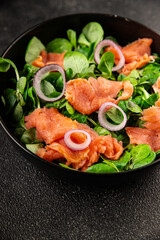 Salmon salad appetizer seafood fresh fish second course portion size natural product tasty snack fresh delicious gourmet food background on the table rustic top view copy space pescetarian diet