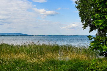 Güttingen, Bodensee, See, Seeufer, Uferweg, Ufer, Wasservögel, Schilf, Naturschutz, Wassersport, Seerundfahrt, Sommer, Ostschweiz, Thurgau, Schweiz
