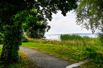 Güttingen, Bodensee, See, Seeufer, Uferweg, Ufer, Wasservögel, Schilf, Naturschutz, Wassersport, Seerundfahrt, Sommer, Ostschweiz, Thurgau, Schweiz