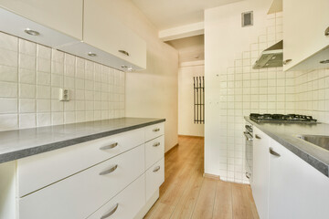 Modern Minimalist Kitchen Interior
