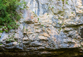 mountainous landscape in summer with flowering vegetation