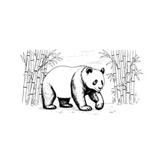 Naklejka premium pandas vector line art design