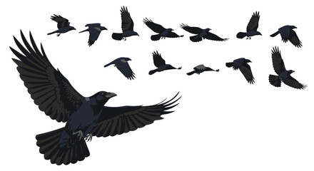 Obraz premium A flock of crows in flight animated sequence for gaming and animation.