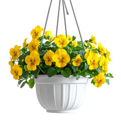 Hanging basket of vibrant yellow pansies with dark centers, lush green leaves, on black