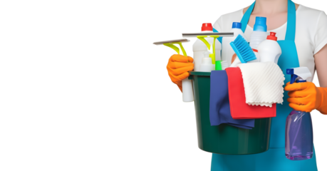 Clean Sweep: A dedicated cleaner, equipped with an array of cleaning tools, stands ready to tackle any mess.