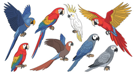 A vibrant collection of various colorful parrots and cockatoos perched on branches.