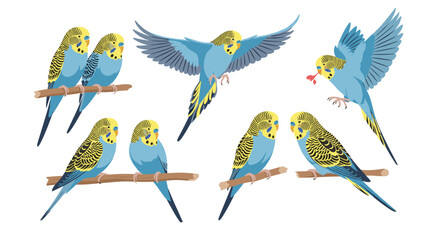 Obraz premium Several budgies are depicted in various poses on branches.
