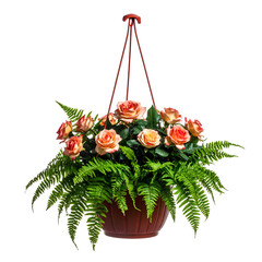 Hanging basket overflowing with orange roses and lush green ferns, dark background