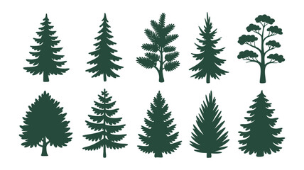 Obraz premium Collection of diverse evergreen tree silhouettes