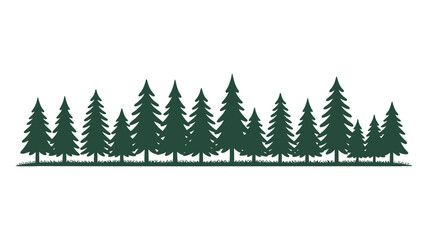 Obraz premium Silhouette of a dense evergreen forest against a white background