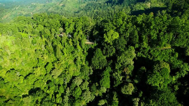 Aerial morning view of forest mountain hills in Ngadas, Indonesia