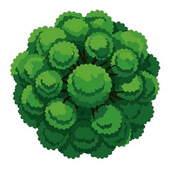 Overhead View of a Stylized Green Tree or Bush Vector Illustration