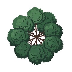 Isolated Green Tree Top View Illustration