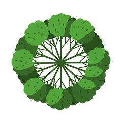 Top View Stylized Green Bush or Tree Illustration for Landscape Design