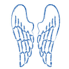 Blue dragonfly insect vector illustration with nature and bug design elements