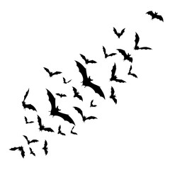 Fototapeta premium Abstract swirling lines and dots forming a dynamic pattern isolated on transparent background