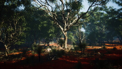 Fototapeta premium Sunlight pours into a serene forest, casting gentle shadows on bright red soil. Tall trees and rich foliage create a tranquil atmosphere, inviting exploration and reflection.