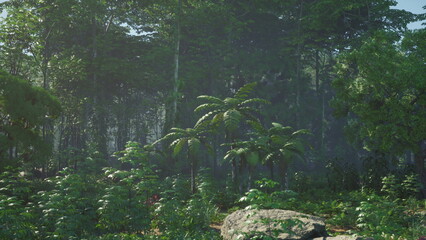 In a dense forest, tall trees reach for the sky, surrounded by rich greenery. Various plants and lush ferns thrive, creating a peaceful haven filled with natural beauty.