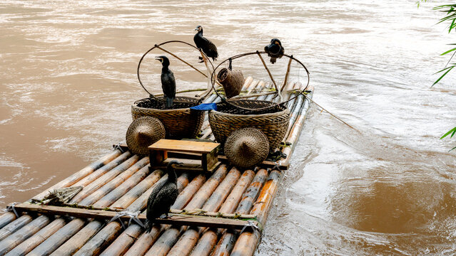 Bamboo raft with cormorants on the Li River for tourism
