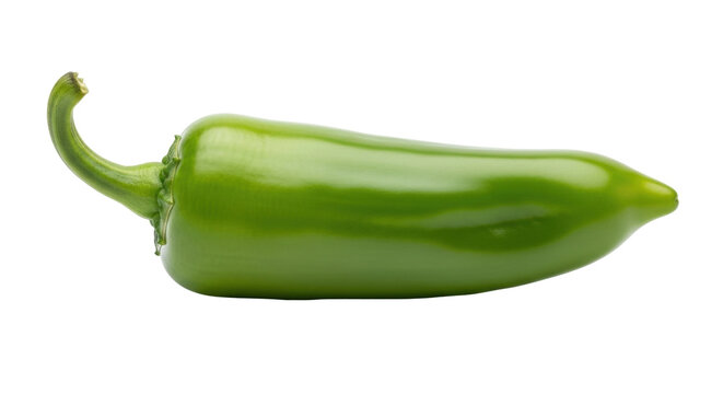 Isolated green jalape&ntilde;o pepper, healthy vegetable, natural ingredient, spicy taste, hot seasoning