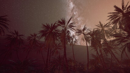 Amidst a desert landscape, tall palm trees reach for the stars as the Milky Way illuminates the night sky. A calm atmosphere invites wonder and serenity in this awe inspiring scene. © icetray