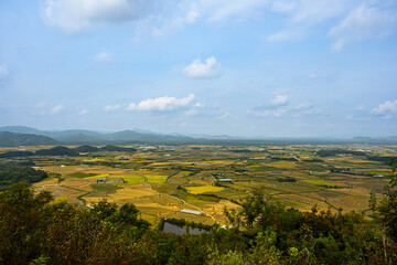 황금색 한국 가을 농촌의 풍경 