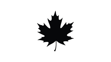 Black silhouette of a maple leaf on a white background a simple graphic symbol