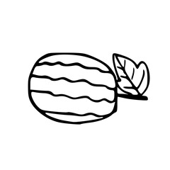 vector illustration of a set of vegetables, vector drawing of a watermelon